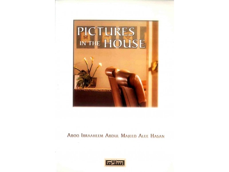 Pictures in the House (Paperback)